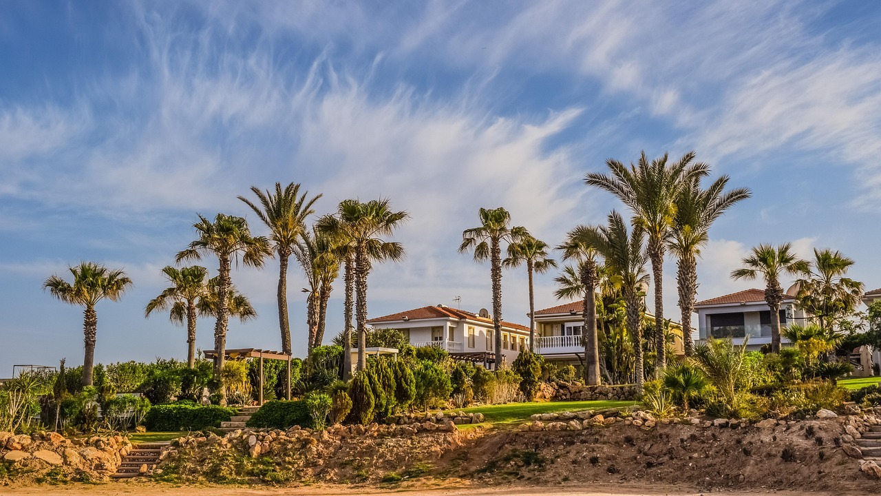 villas, property, real estate, residential, house, garden, nature, palm trees, kapparis, cyprus, blue house, blue garden, blue gardening, real estate, real estate, real estate, real estate, real estate, cyprus